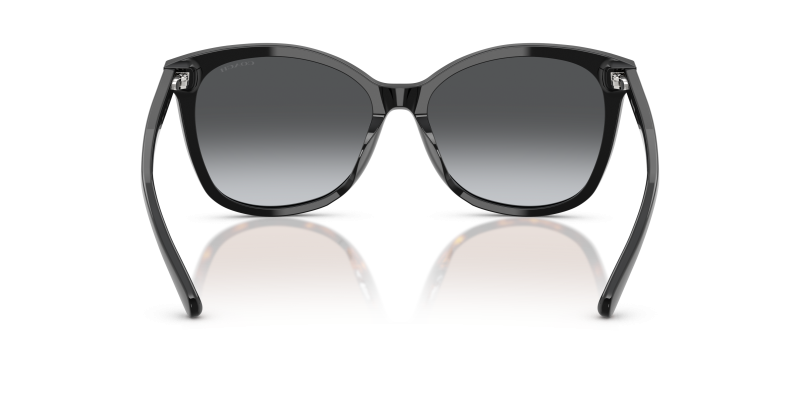 Coach HC8271U-5002T3 5002T3 ขาแว่นด้านใน