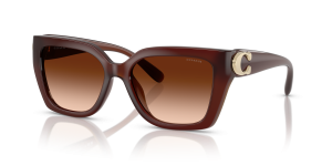 Coach HC8408F-584174 584174 แว่นกันแดดสีฮาเซลนัทมิลกี้ สำหรับผู้หญิง