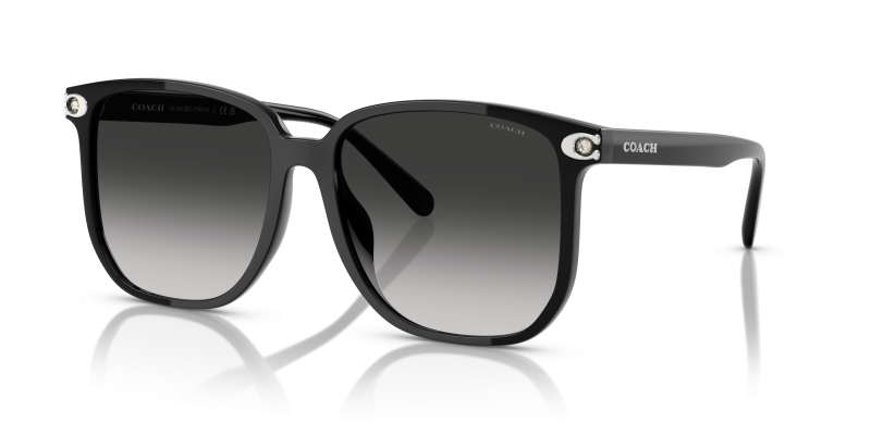 Coach HC8413BD-50023C 50023C มุมเอียง 3/4