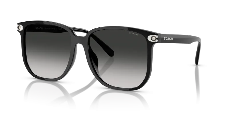 Coach HC8413BD-50023C 50023C มุมเอียง 3/4