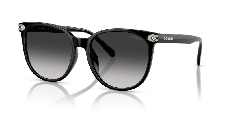 Coach HC8414BD-50023C 50023C มุมเอียง 3/4
