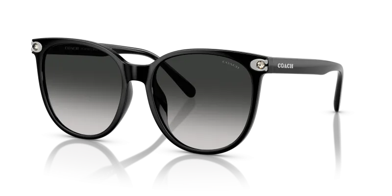 Coach HC8414BD-50023C 50023C มุมเอียง 3/4