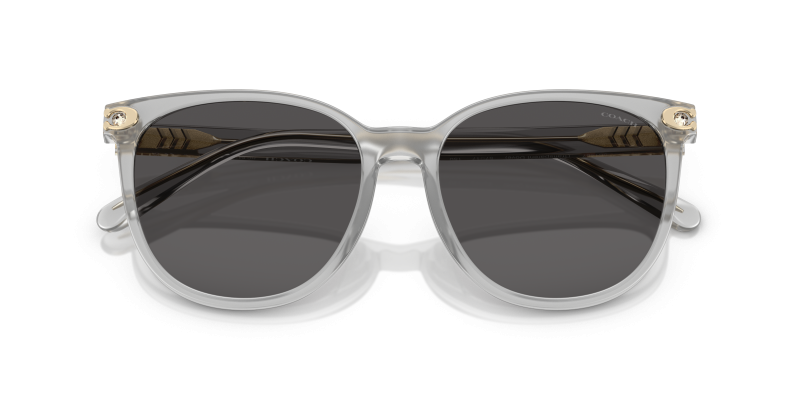 Coach HC8414BD-561487 561487 close-up ด้านหน้า