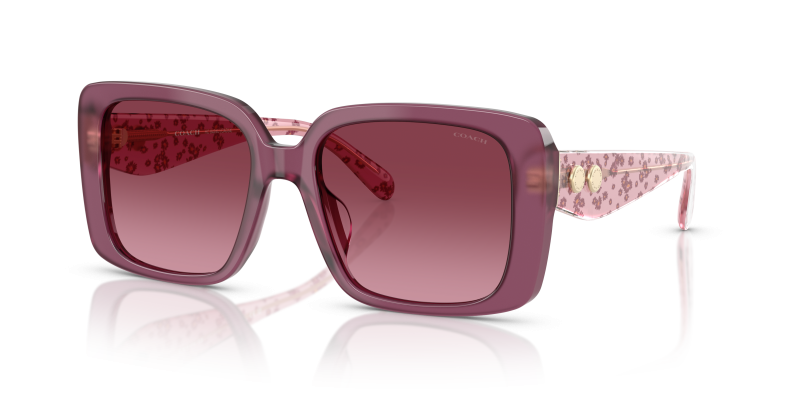 Coach HC8424U 59548H แว่นกันแดดสีม่วงสีขุ่น เลนส์ไล่ระดับม่วง สำหรับผู้หญิง