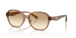 แว่นกันแดด Coach HC8445D-565413 Transparent Brown Clear Coach HC8445D 565413 แว่นกันแดดน้ำตาลโปร่งใส ผู้หญิง