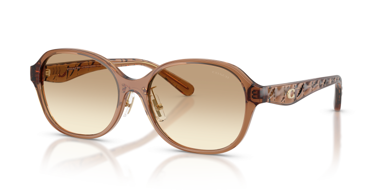 Coach HC8445D 565413 แว่นกันแดดน้ำตาลโปร่งใส ผู้หญิง