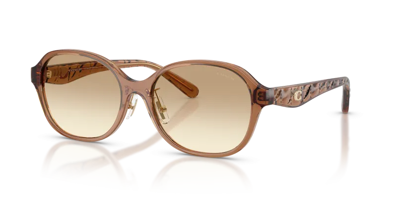แว่นกันแดด Coach HC8445D-565413 Transparent Brown Clear Coach HC8445D 565413 แว่นกันแดดน้ำตาลโปร่งใส ผู้หญิง