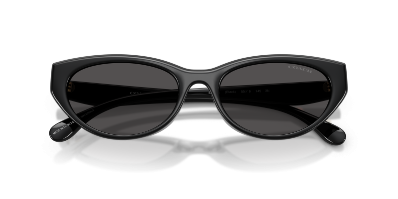 Coach HC8456D-500287 500287 close-up ด้านหน้า