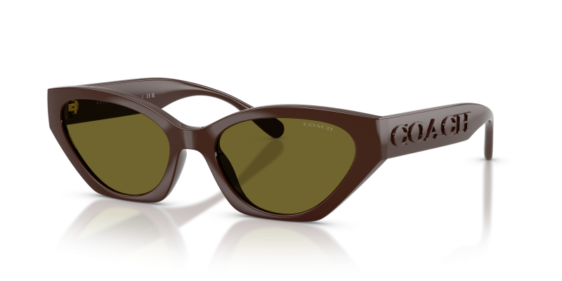 แว่นกันแดด Coach HC8459U-5957/2 มุมเฉียง สี Pecan สำหรับผู้หญิง