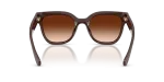 แว่นกันแดด Coach HC8460U-595774 Pecan Brown Gradient แว่นกันแดด Coach HC8460U-595774 ขาแว่นด้านใน