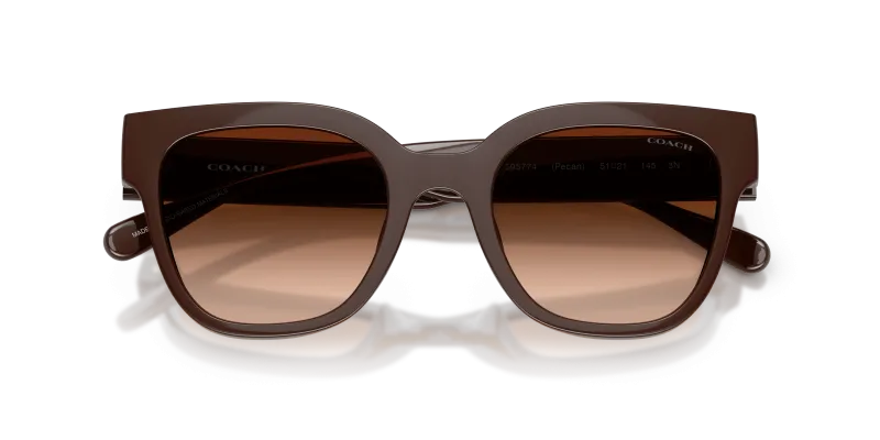 แว่นกันแดด Coach HC8460U-595774 close-up ด้านหน้า