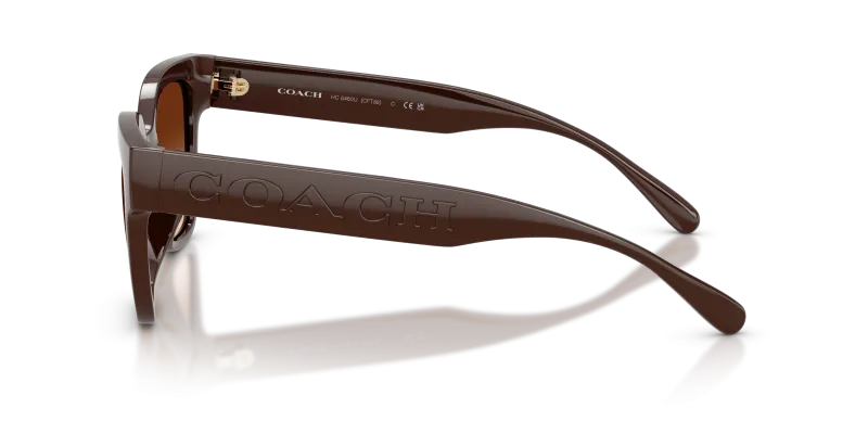 แว่นกันแดด Coach HC8460U-595774 มุมข้าง ขาแว่นสี Pecan