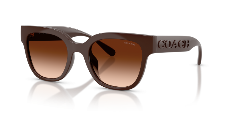 แว่นกันแดด Coach HC8460U-595774 มุมเฉียง สี Pecan สำหรับผู้หญิง