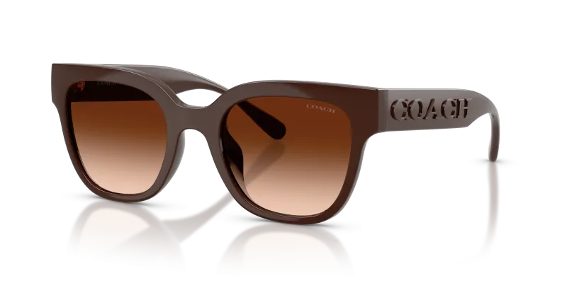 แว่นกันแดด Coach HC8460U-595774 Pecan Brown Gradient แว่นกันแดด Coach HC8460U-595774 มุมเฉียง สี Pecan สำหรับผู้หญิง