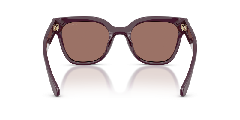 แว่นกันแดด Coach HC8460U-59596G ขาแว่นด้านใน