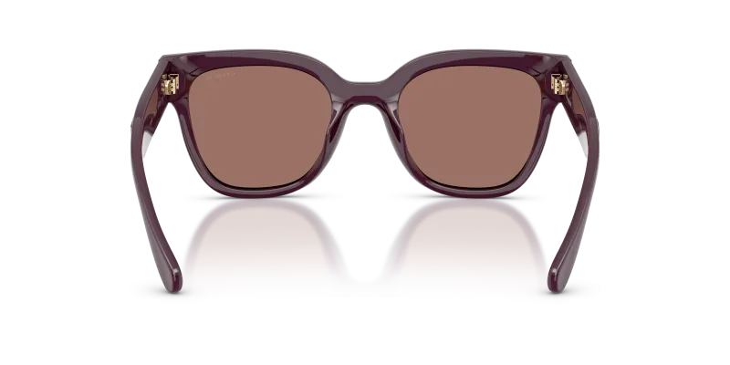 แว่นกันแดด Coach HC8460U-59596G ขาแว่นด้านใน