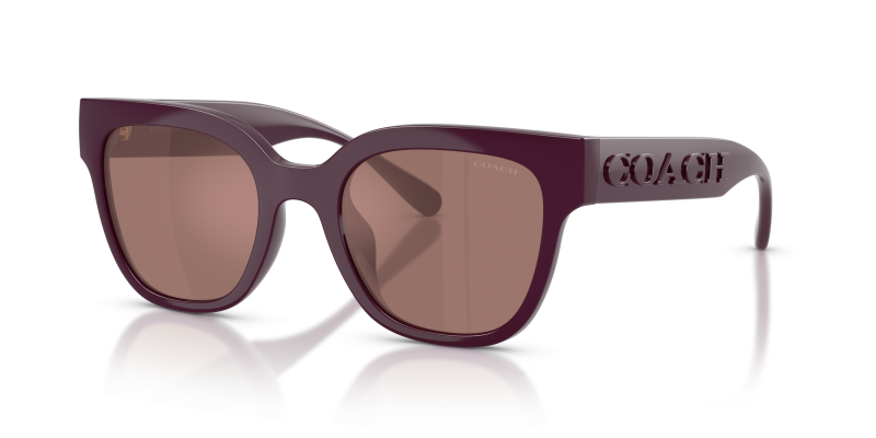 แว่นกันแดด Coach HC8460U-59596G มุมเฉียง สีม่วง สำหรับผู้หญิง