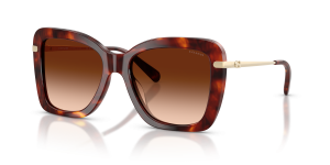 แว่นกันแดด Coach HC8461U-593874 ลายกระโทนน้ำตาลวอลนัท เลนส์ไล่ระดับสีน้ำตาล มุมสามส่วนสี่