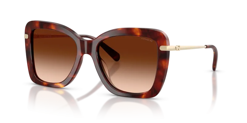 แว่นกันแดด Coach HC8461U-593874 ลายกระโทนน้ำตาลวอลนัท เลนส์ไล่ระดับสีน้ำตาล มุมสามส่วนสี่