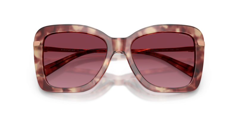 แว่นกันแดด Coach HC8461U-59608H ลายกระสีม่วง ระยะใกล้
