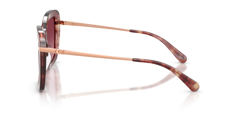 แว่นกันแดด Coach HC8461U-59608H มุมด้านข้าง ทรงผีเสื้อขอบเต็ม