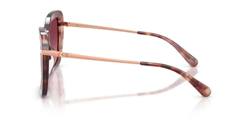 แว่นกันแดด Coach HC8461U-59608H มุมด้านข้าง ทรงผีเสื้อขอบเต็ม