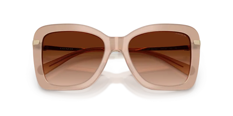 แว่นกันแดด Coach HC8461U-598074 น้ำตาลอ่อนสีขุ่น ระยะใกล้