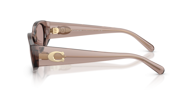 แว่นกันแดด Coach HC8462U-59627N มุมข้าง ขาแว่นสีม่วงซีดโปร่งใส