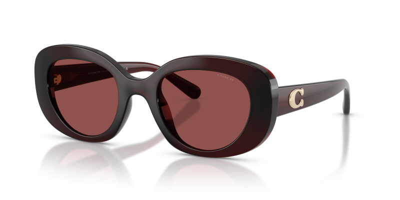 แว่นกันแดด Coach HC8463U-596375 Transparent Garnet Wine Solid แว่นกันแดด Coach HC8463U-596375 มุมเฉียง สีโกเมนโปร่งใส สำหรับผู้หญิง