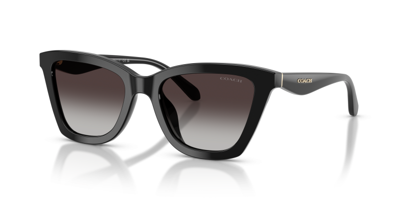 แว่นกันแดด Coach HC8464U-50028G Black Grey Gradient แว่นกันแดด Coach HC8464U-50028G สีดำ เลนส์ไล่ระดับสีเทา มุมสามส่วนสี่