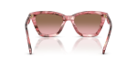 แว่นกันแดด Coach HC8464U-596414 Rose Watercolor Brown Pink Gradient แว่นกันแดด Coach HC8464U-596414 มุมด้านหลัง ขาแว่นลายซิกเนเจอร์ C