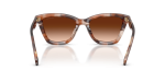 แว่นกันแดด Coach HC8464U-596574 Pecan Watercolor Brown Gradient แว่นกันแดด Coach HC8464U-596574 มุมด้านหลัง ขาแว่นลายซิกเนเจอร์ C