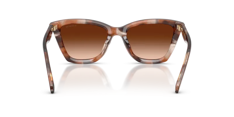แว่นกันแดด Coach HC8464U-596574 มุมด้านหลัง ขาแว่นลายซิกเนเจอร์ C