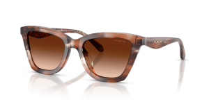 แว่นกันแดด Coach HC8464U-596574 เลนส์ไล่ระดับสีน้ำตาล มุมสามส่วนสี่