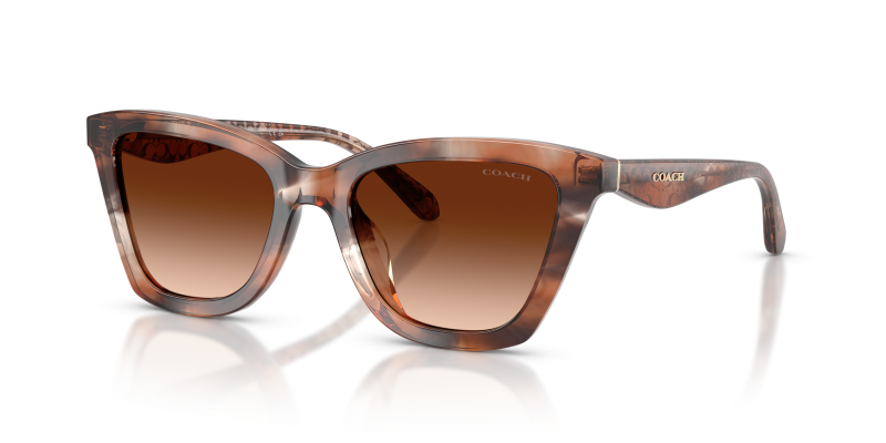 แว่นกันแดด Coach HC8464U-596574 Pecan Watercolor Brown Gradient แว่นกันแดด Coach HC8464U-596574 เลนส์ไล่ระดับสีน้ำตาล มุมสามส่วนสี่