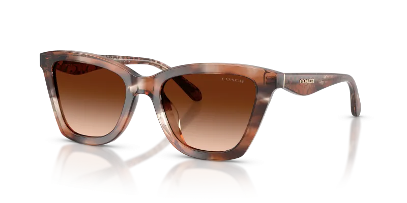 แว่นกันแดด Coach HC8464U-596574 เลนส์ไล่ระดับสีน้ำตาล มุมสามส่วนสี่
