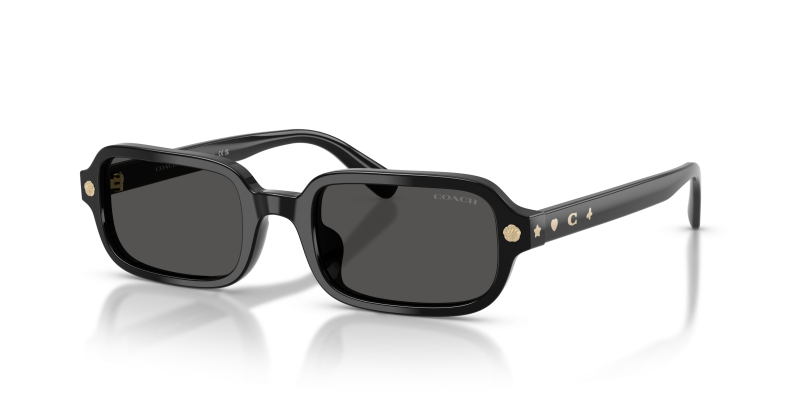 แว่นกันแดด Coach HC8465U-500287 Black Grey Solid แว่นกันแดด Coach HC8465U-500287 สีดำขัดเงา เลนส์สีเดียวโทนเทาสด