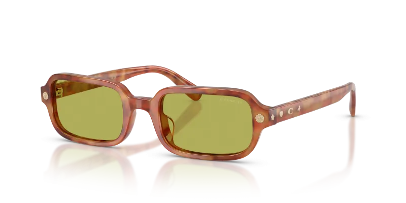 แว่นกันแดด Coach HC8465U-5774/2 Caramel Tortoise Pistachio แว่นกันแดด Coach HC8465U-5774/2 ลายกระโทนคาราเมล เลนส์สีเดียวโทนเขียวพิสตาชิโอ