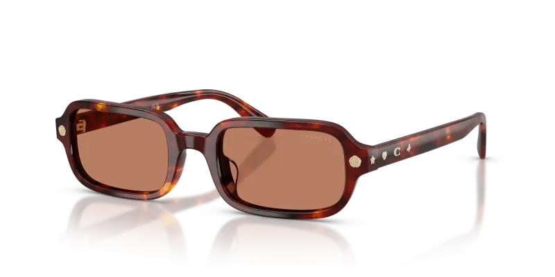 แว่นกันแดด Coach HC8465U-593873 ลายกระโทนน้ำตาลวอลนัท เลนส์สีเดียวโทนสดน้ำตาลอ่อน