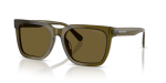 แว่นกันแดด Coach HC8466U-591073 Transparent Olive Olive Solid แว่นกันแดด Coach HC8466U-591073 อะซิเตทโปร่งใสโทนมะกอก เลนส์สีเดียวโทนสดมะกอก