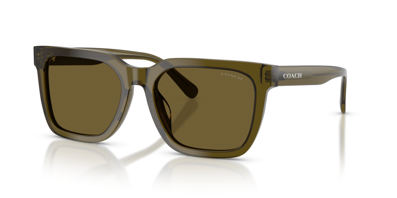 แว่นกันแดด Coach HC8466U-591073 Transparent Olive Olive Solid แว่นกันแดด Coach HC8466U-591073 อะซิเตทโปร่งใสโทนมะกอก เลนส์สีเดียวโทนสดมะกอก