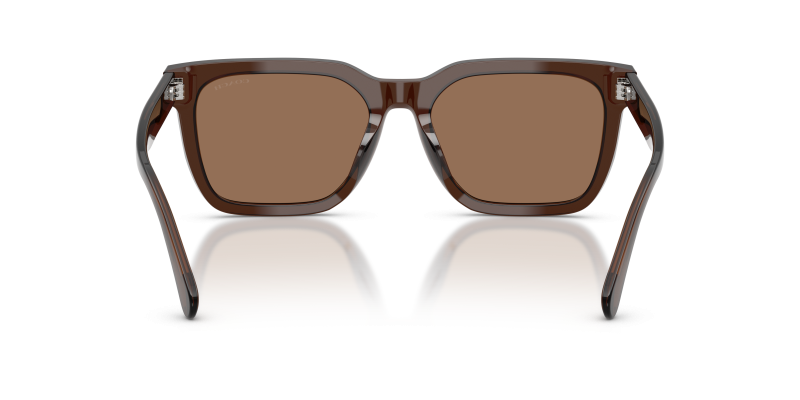 แว่นกันแดด Coach HC8466U-597373 มุมด้านหลัง ขาแว่นด้านใน