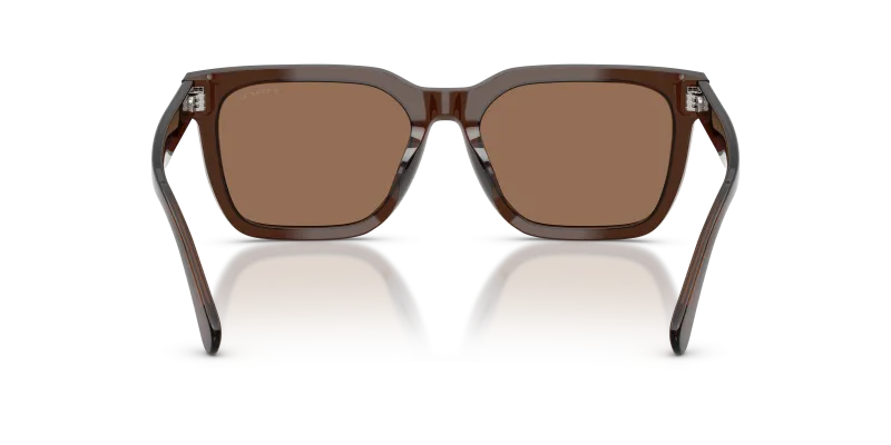 แว่นกันแดด Coach HC8466U-597373 มุมด้านหลัง ขาแว่นด้านใน