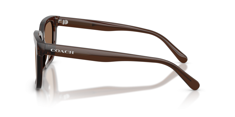แว่นกันแดด Coach HC8466U-597373 มุมด้านข้าง ทรงสี่เหลี่ยมจัตุรัสขอบเต็ม
