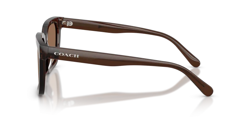 แว่นกันแดด Coach HC8466U-597373 มุมด้านข้าง ทรงสี่เหลี่ยมจัตุรัสขอบเต็ม