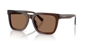แว่นกันแดด Coach HC8466U-597373 อะซิเตทโปร่งใสโทนน้ำตาล เลนส์สีเดียวโทนน้ำตาลสด