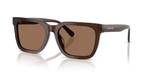 แว่นกันแดด Coach HC8466U-597373 อะซิเตทโปร่งใสโทนน้ำตาล เลนส์สีเดียวโทนน้ำตาลสด