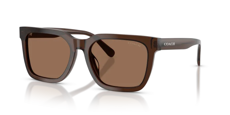 แว่นกันแดด Coach HC8466U-597373 อะซิเตทโปร่งใสโทนน้ำตาล เลนส์สีเดียวโทนน้ำตาลสด