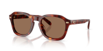 แว่นกันแดด Coach HC8467U-593873 Walnut Tortoise Brown Solid แว่นกันแดด Coach HC8467U-593873 ลายกระโทนน้ำตาลวอลนัท เลนส์น้ำตาลสด