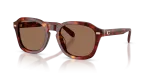 แว่นกันแดด Coach HC8467U-593873 Walnut Tortoise Brown Solid แว่นกันแดด Coach HC8467U-593873 ลายกระโทนน้ำตาลวอลนัท เลนส์น้ำตาลสด